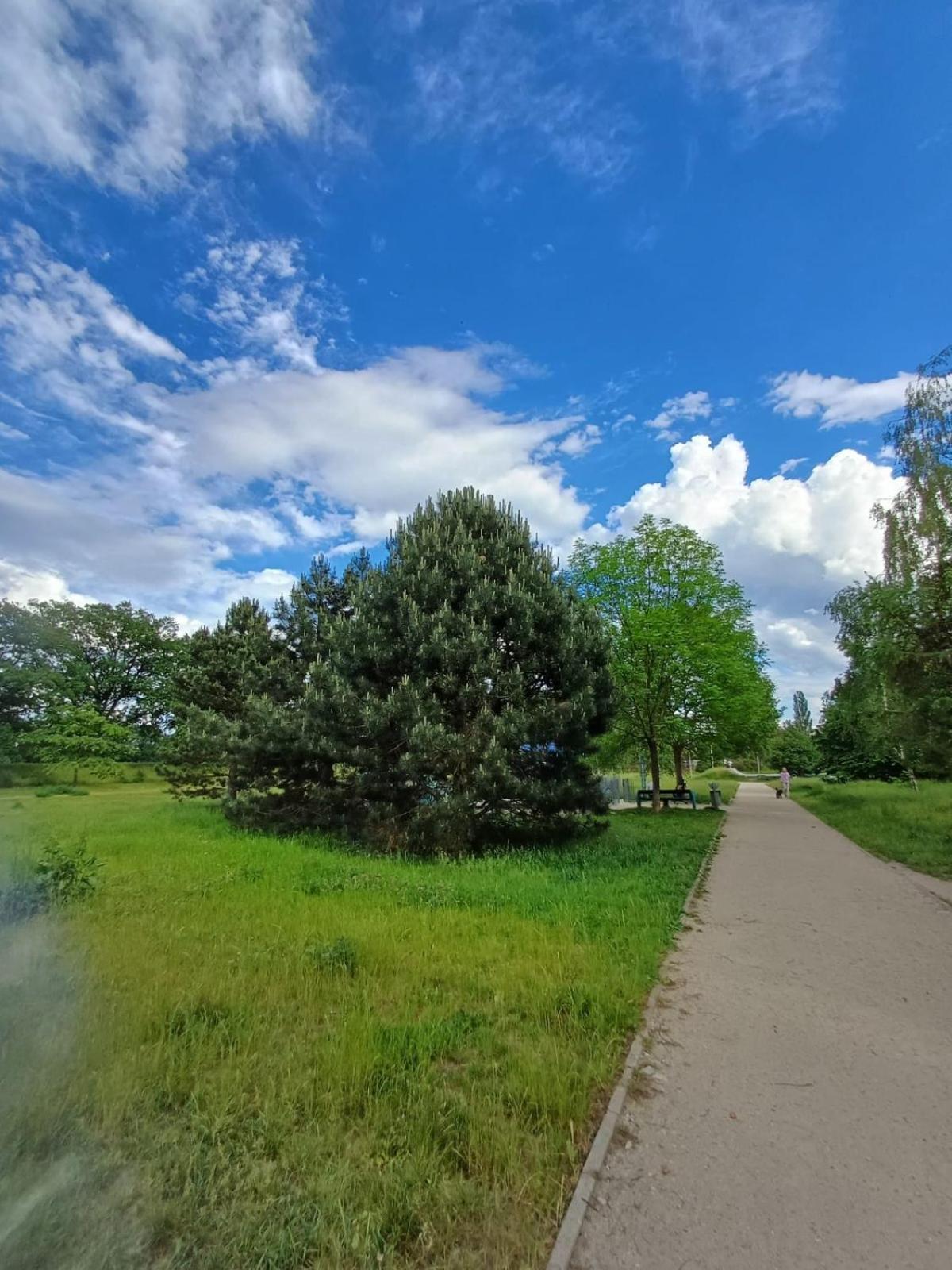 Rodzinny Apartament Blisko Hali Stulecia I Zoo ヴロツワフ エクステリア 写真